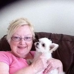 Meet your Posher, Jayne